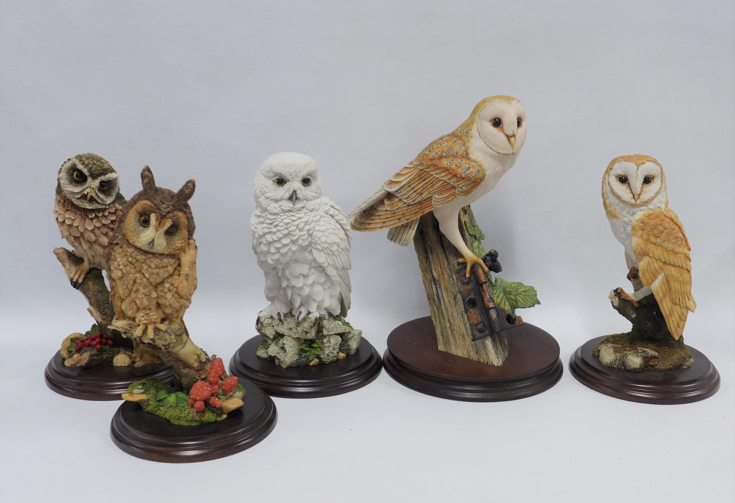 Five Country Artists owls, tallest 26cm (5)
