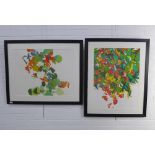 RW Bachelor, a pair of A/P botanical prints, pencil signed and framed under glass, 95 x 79cm (2)