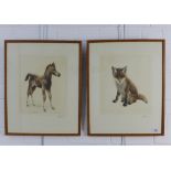 Meyer Eberhart, pair of etchings to include 'Foal & 'Cub Fox', signed framed under glass, 25 x