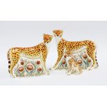 Royal Crown Derby Imari paperweights, Cheetah Daddy, Cheetah & Cheetah Cub, (3) 14 x 18cm.