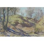 Alex MacPherson (Scottish fl.1925 - 55) 'Woodland' watercolour on paper, signed and framed under