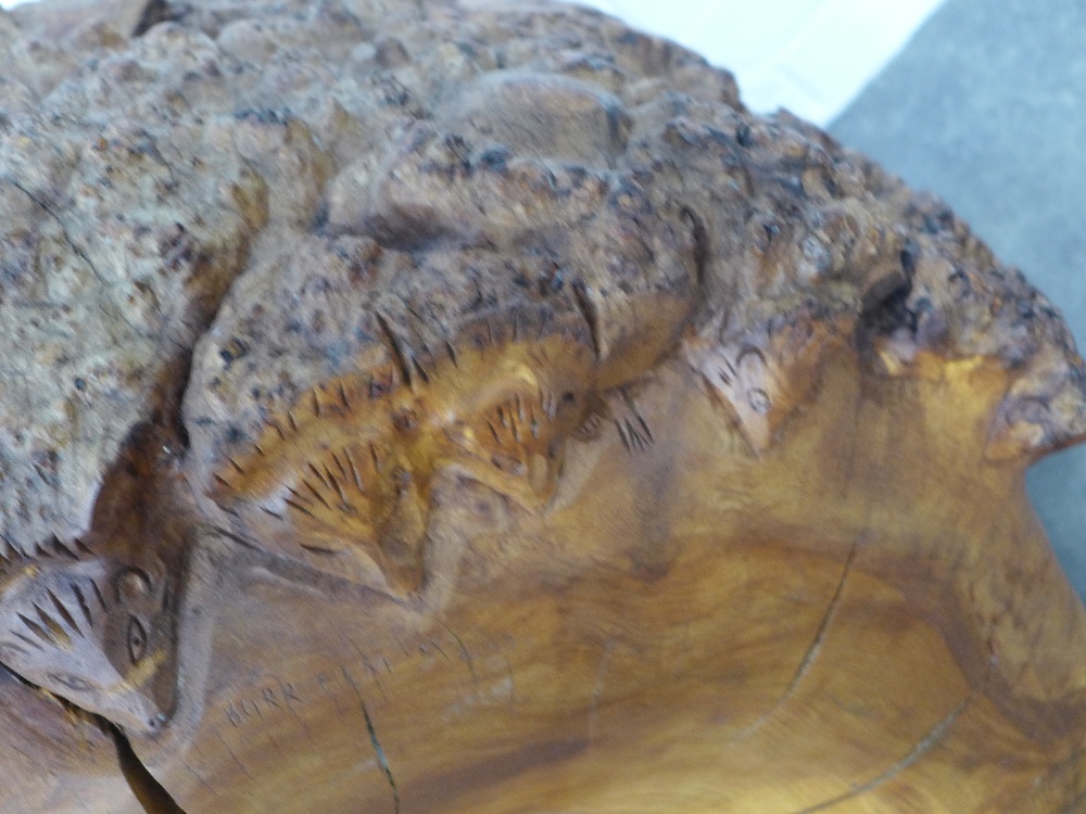 'Dreams of Being The Wheel' hedgehog carved burr wood, singed with a monogram and dated 2003, 75 x - Image 3 of 5