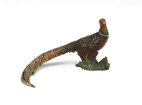 Cold painted bronze Pheasant, 12 x 5cm