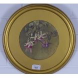 Early 20th century watercolour of Fuchsia, apparently unsigned, framed under glass in a circular