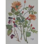 Gertrude A Matheson, 'Brambles and Flower' watercolour, signed with initials, framed under glass