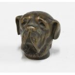 A late 19th / early 20th century bronze dogs head, likely from a walking cane, 4.5cm