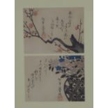 Two Meiji period woodblock prints of cherry blossom, framed together under glass, Scottish Gallery