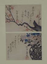 Two Meiji period woodblock prints of cherry blossom, framed together under glass, Scottish Gallery