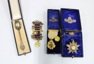 A group of Edwardian Primrose League medallions and lapel pins together with a cased souvenir spoon