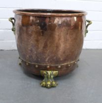 Copper and brass coal bucket on paw feet, 40 x 31cm.