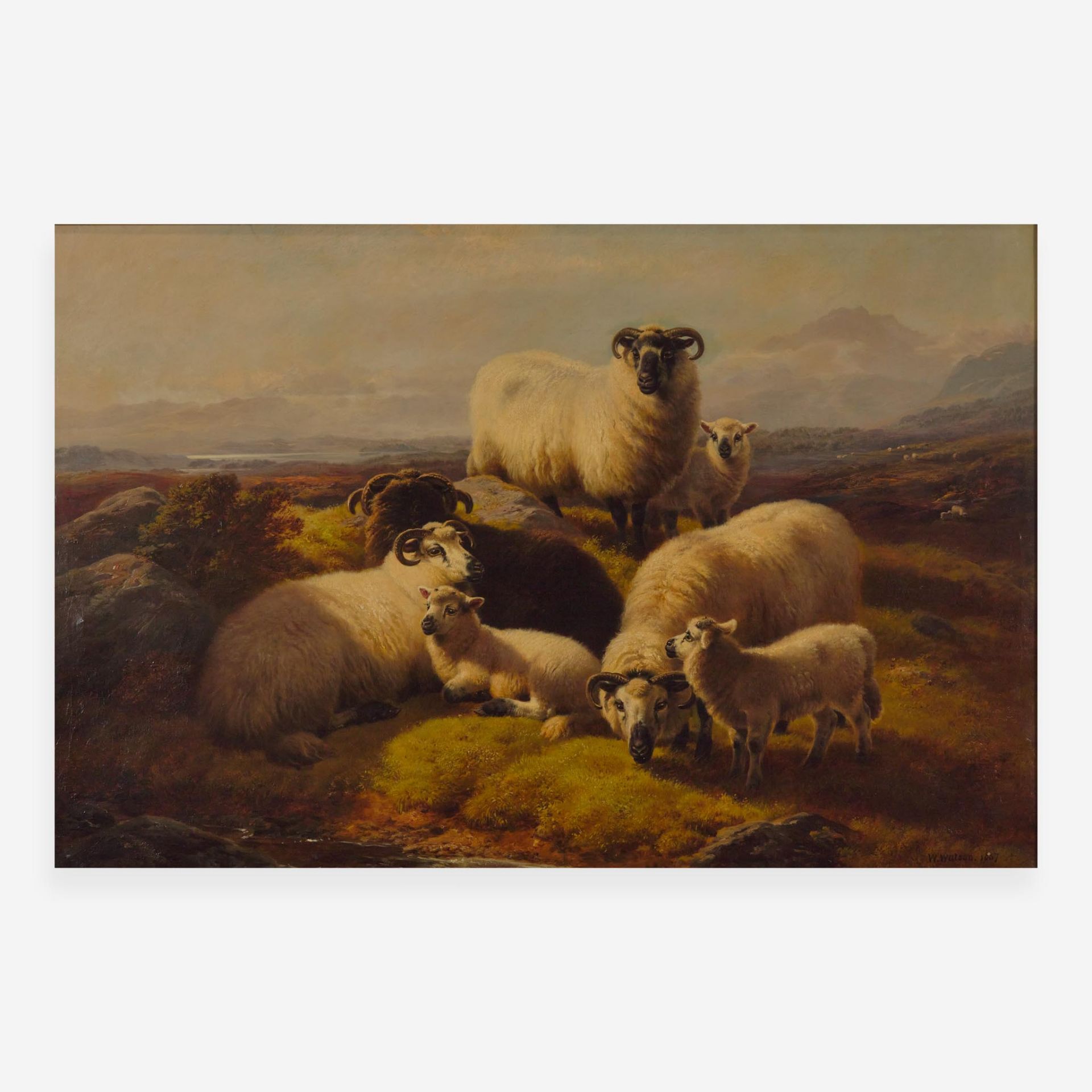 William Watson (British, 1831–1921) Mountain Sheep