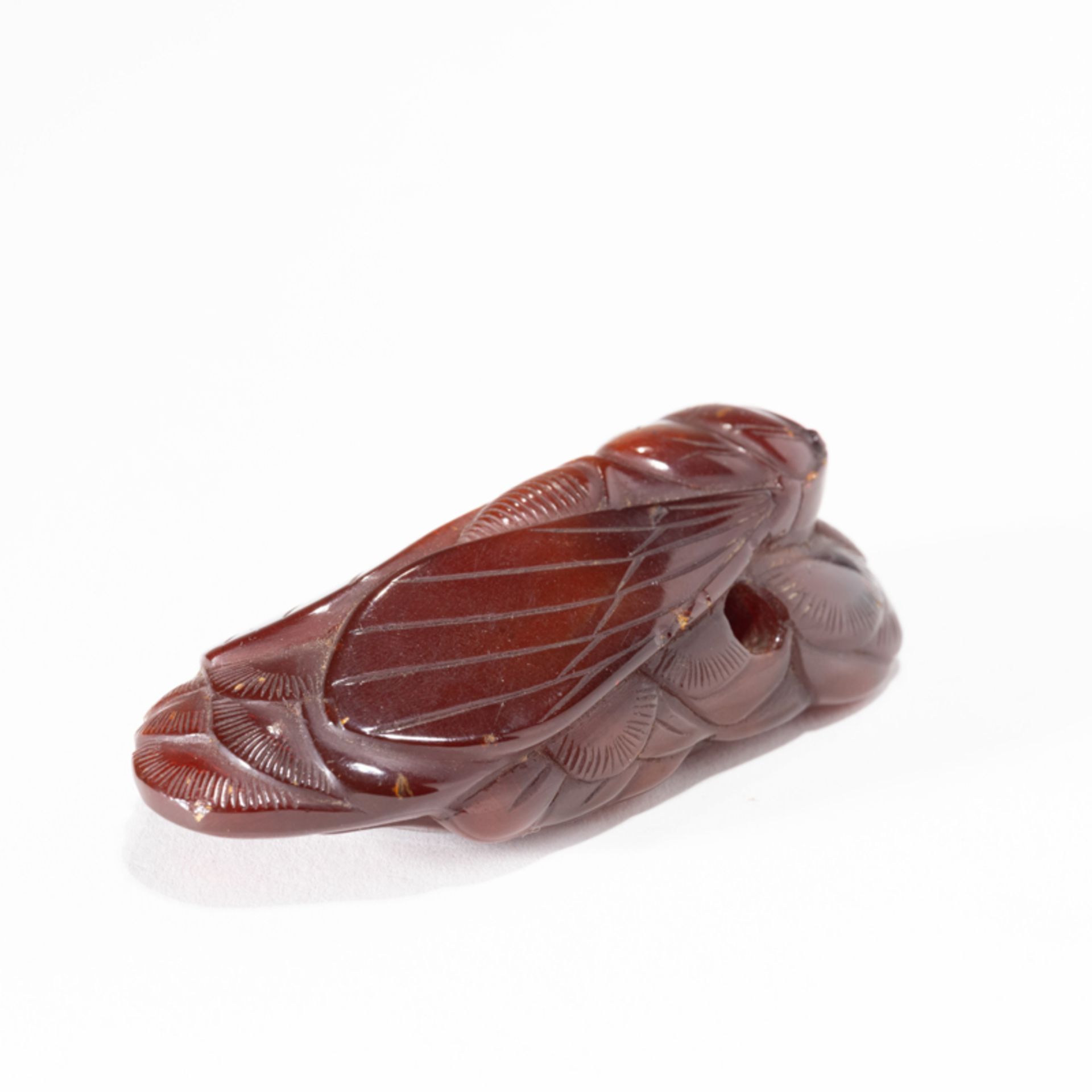 A CHINESE AMBER CICADA-FORM ORNAMENT - Image 2 of 8
