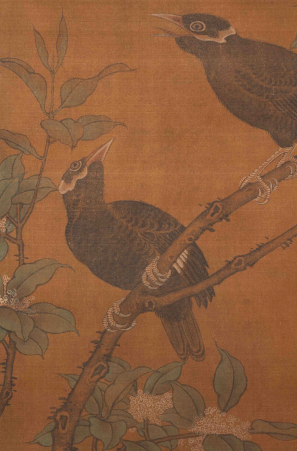 MAGPIES, ARTIST UNKNOWN  佚名 桂枝雙鵲圖 - Image 4 of 7