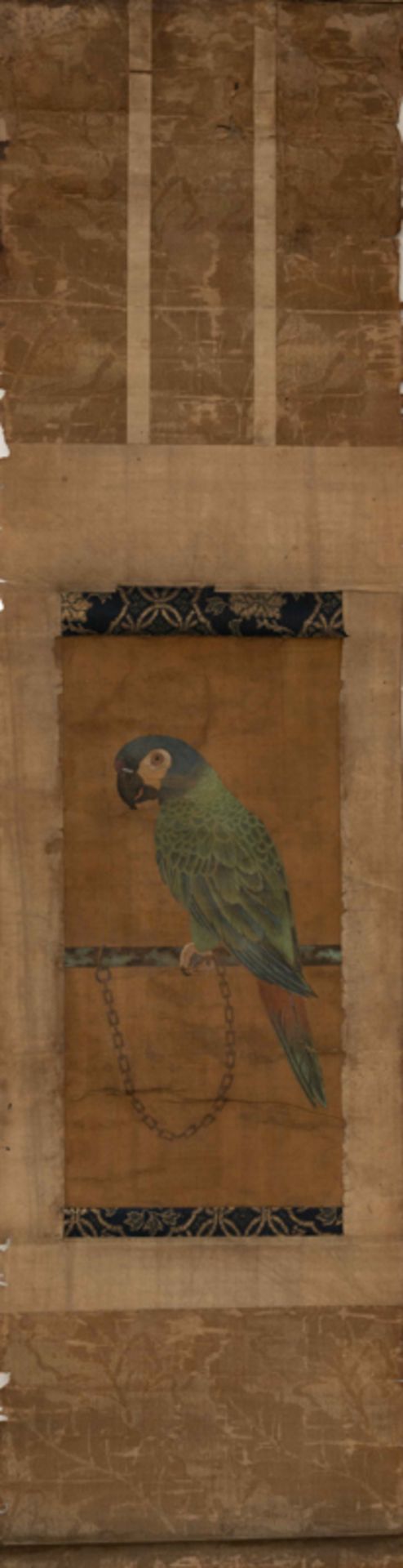 PARROT, ARTIST UNKNOWN  佚名 五色鸚鵡圖 - Image 2 of 7