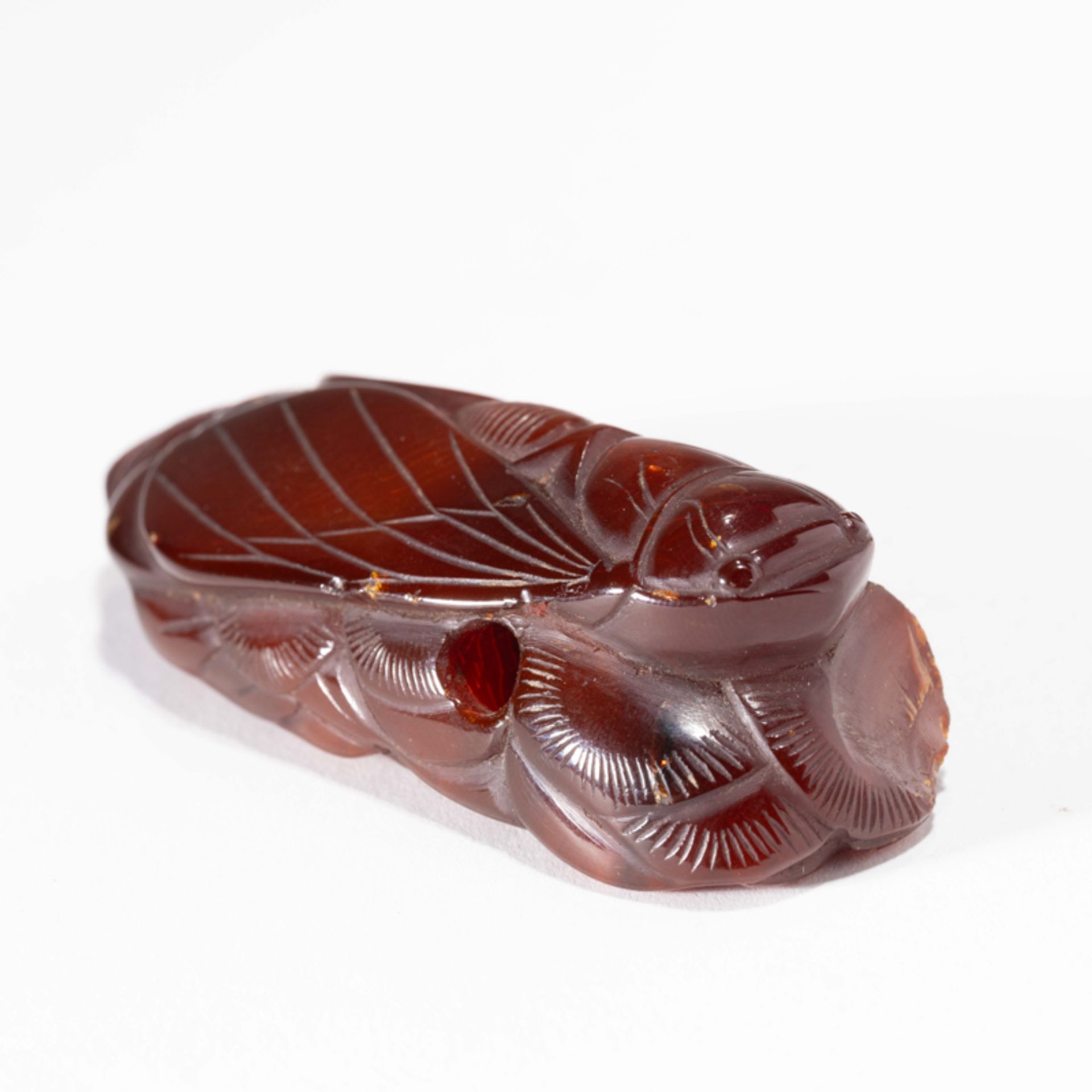 A CHINESE AMBER CICADA-FORM ORNAMENT - Image 7 of 8