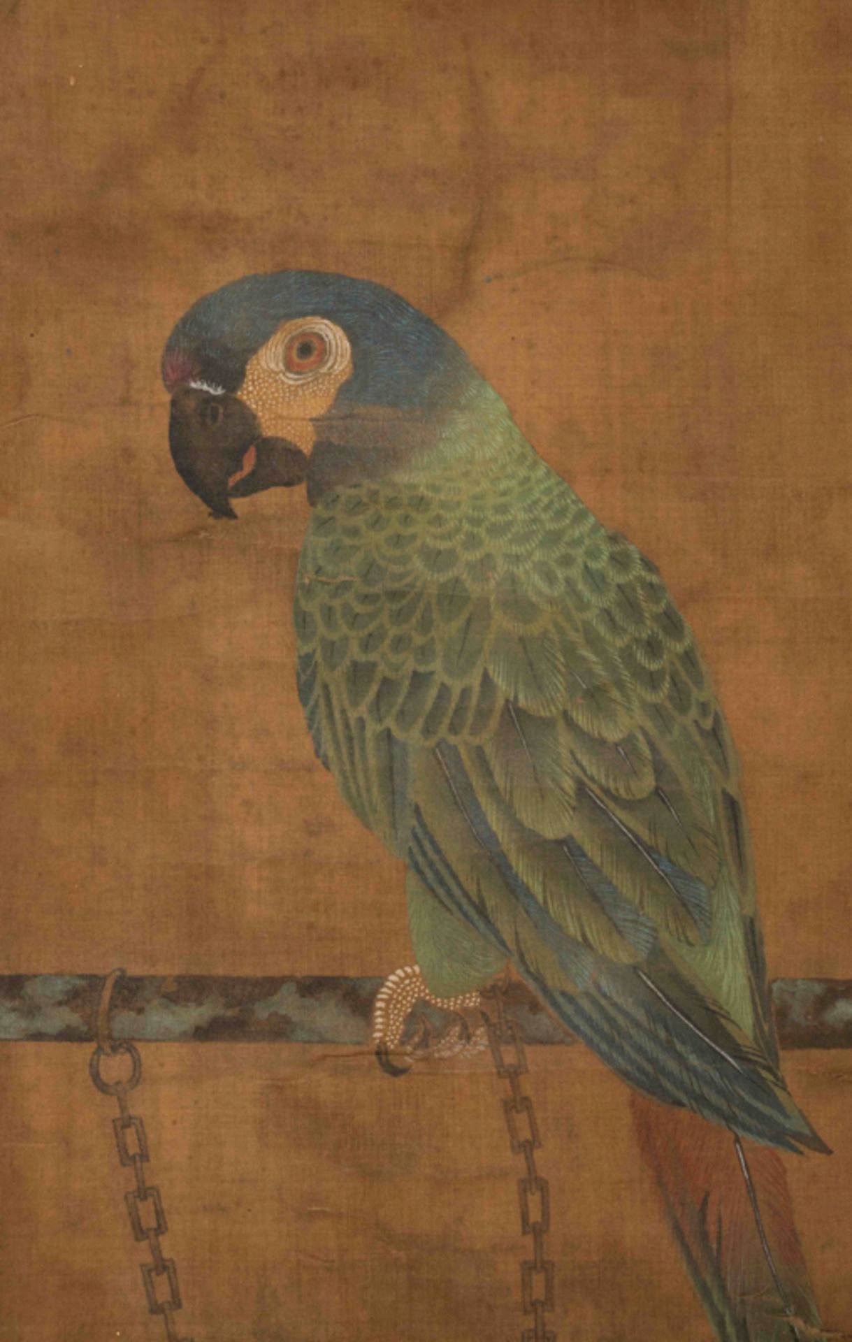 PARROT, ARTIST UNKNOWN  佚名 五色鸚鵡圖 - Image 4 of 7