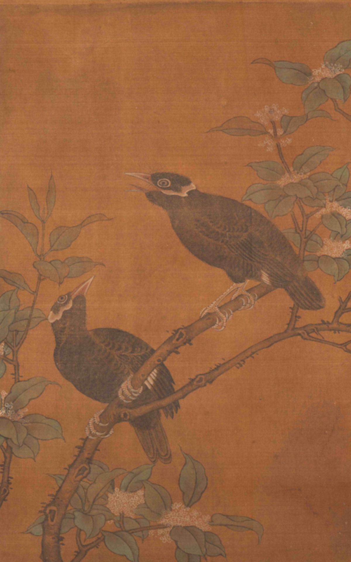 MAGPIES, ARTIST UNKNOWN  佚名 桂枝雙鵲圖