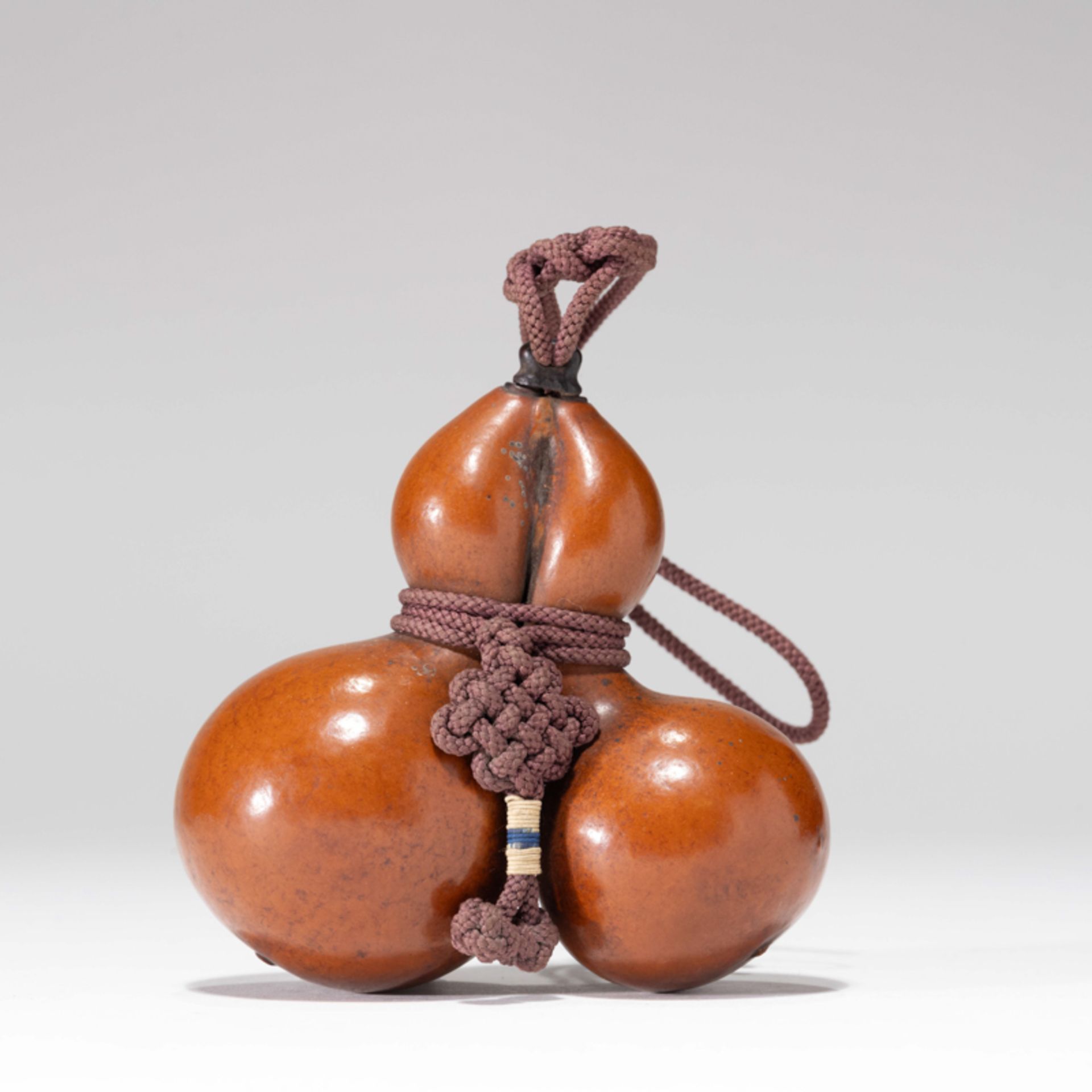 CHINESE GOURD - Image 2 of 9