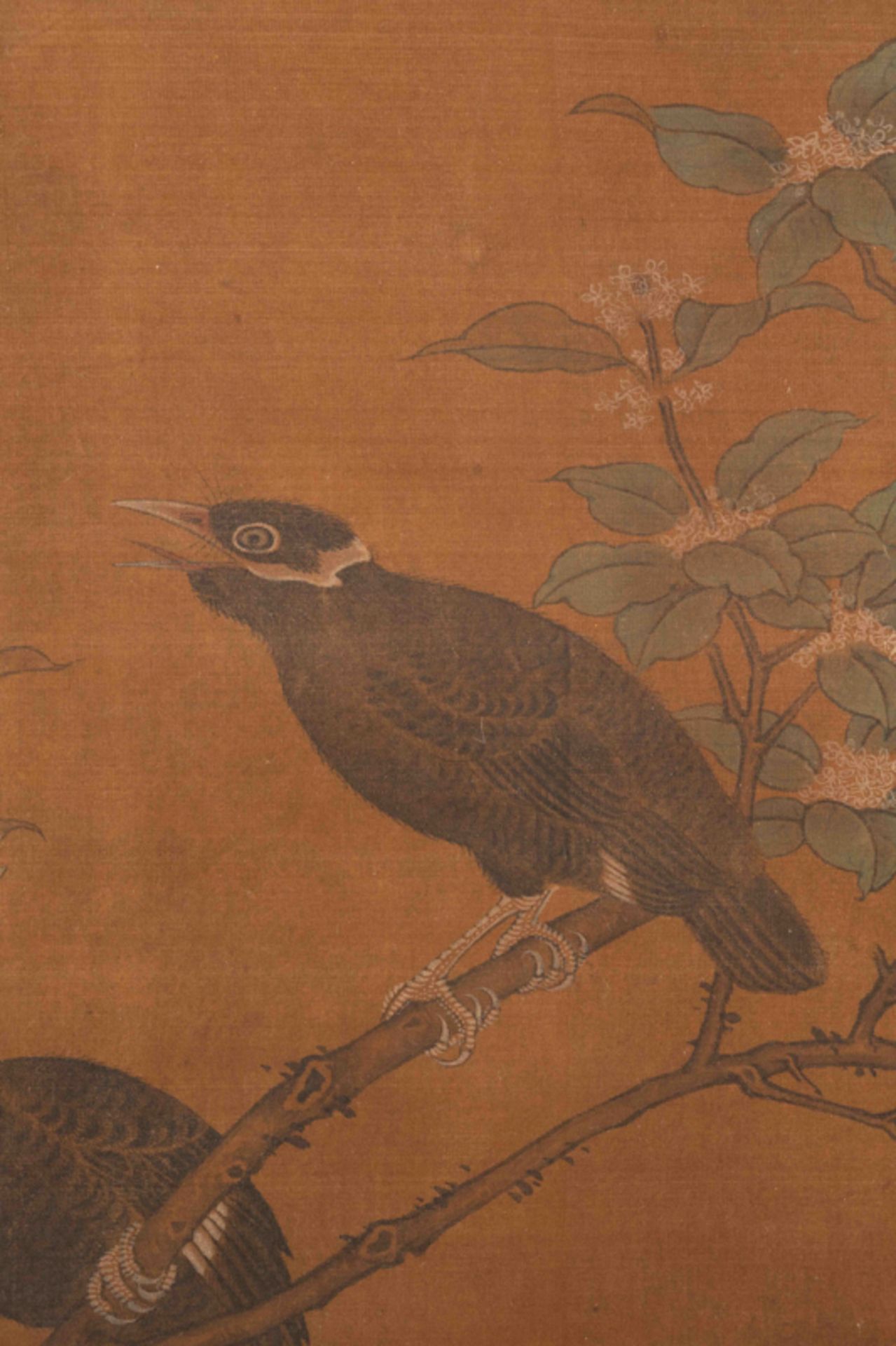 MAGPIES, ARTIST UNKNOWN  佚名 桂枝雙鵲圖 - Image 3 of 7