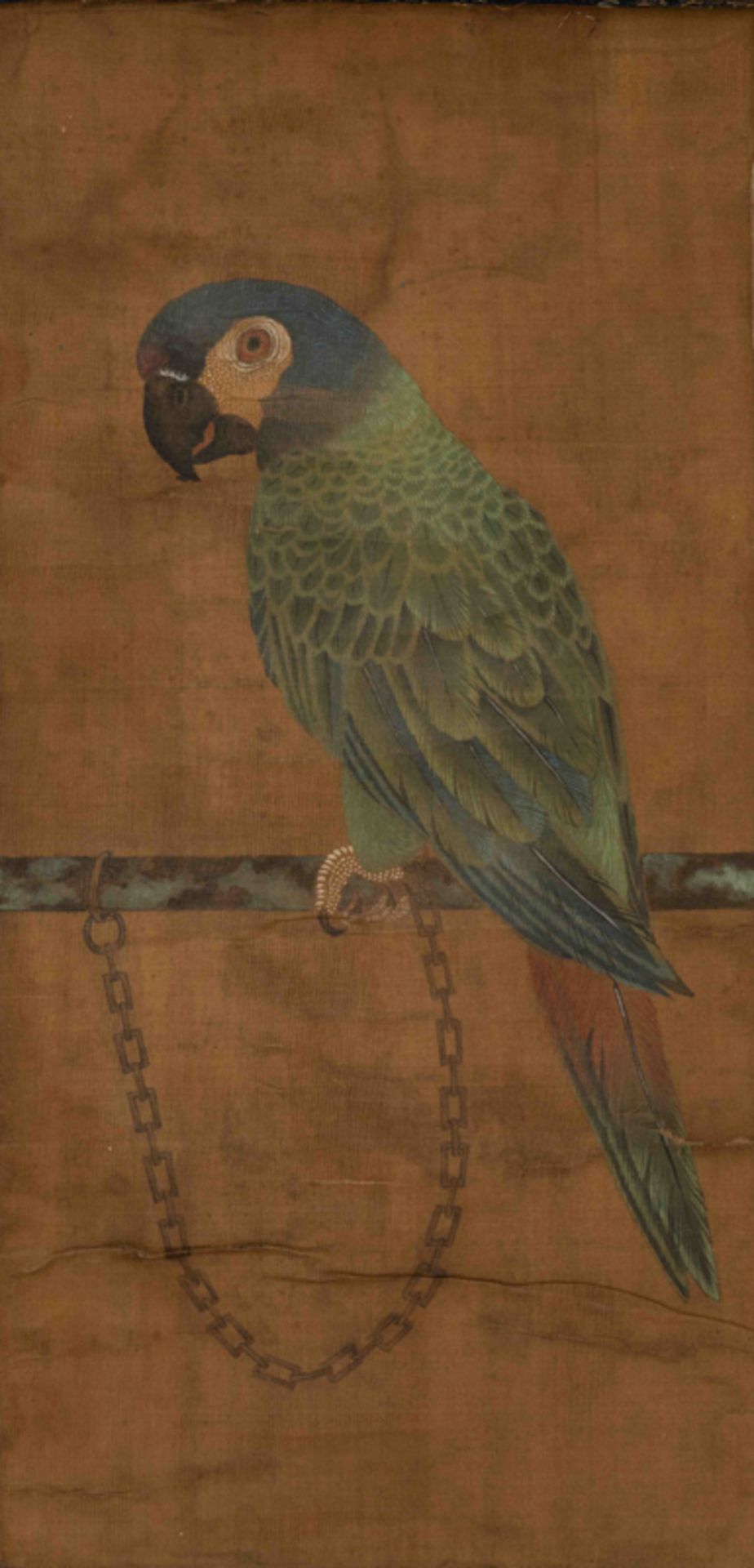 PARROT, ARTIST UNKNOWN  佚名 五色鸚鵡圖