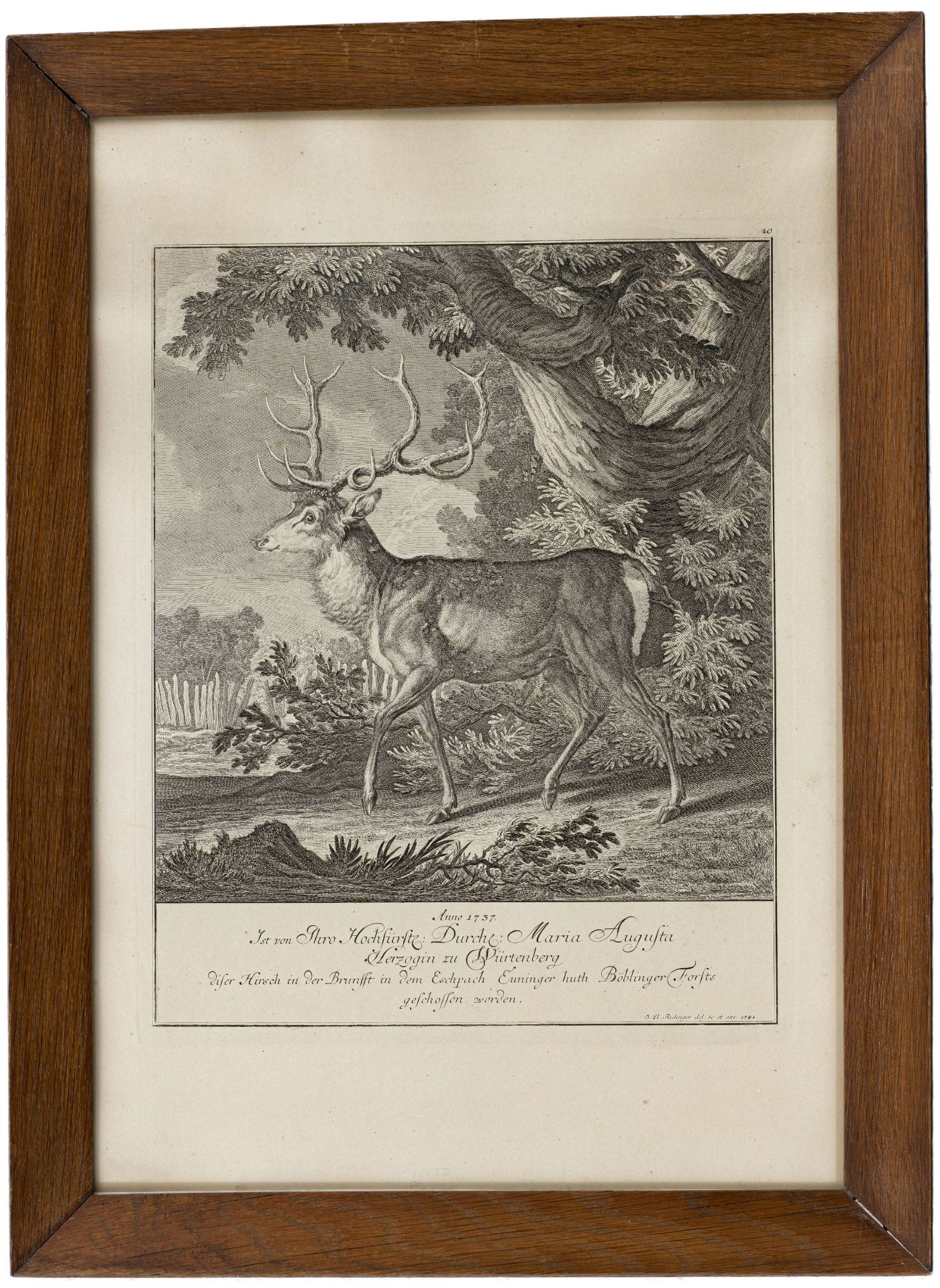 Ridinger, Johann Elias | 1698 Ulm - 1767 Augsburg - Bild 2 aus 2