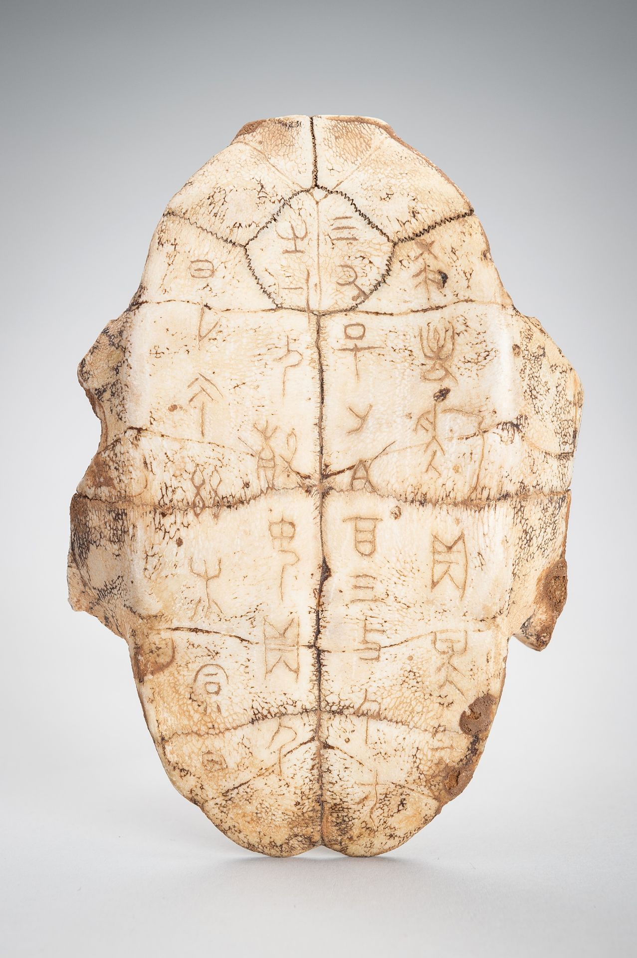 AN INSCRIBED SHANG DYNASTY 'ORACLE BONE' TURTLE PLASTRON, JIAGUWEN - Bild 8 aus 9