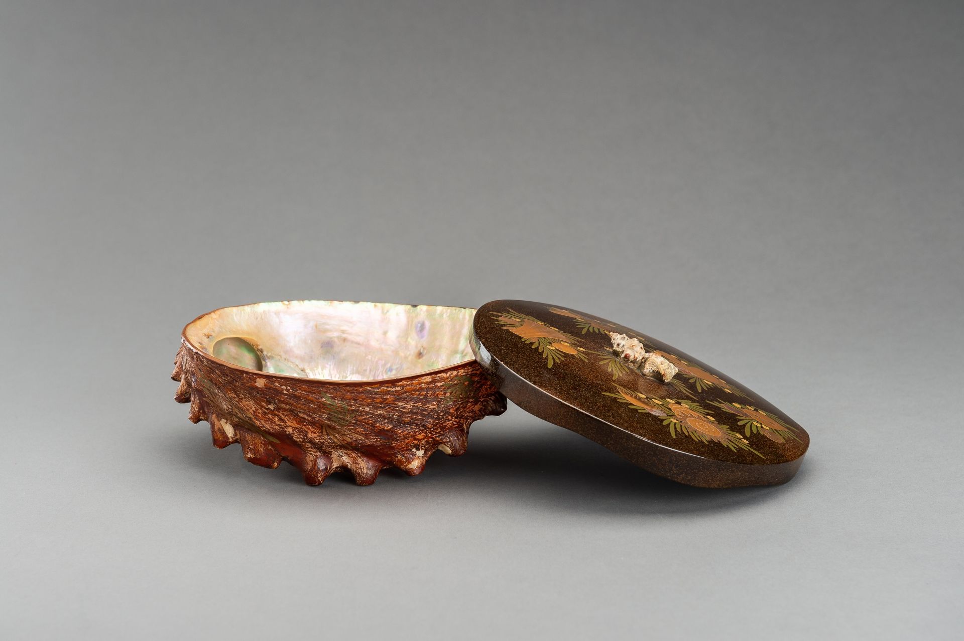 A UNIQUE AWABI SHELL WITH LACQUERED COVER - Image 10 of 14