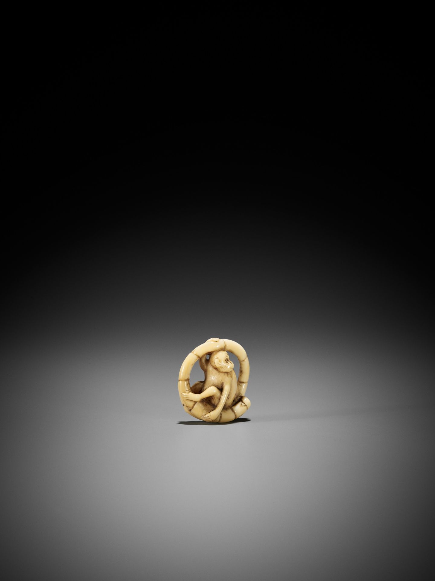 A MARINE IVORY NETSUKE OF A MONKEY SITTING IN A COILED BAMBOO NODE - Bild 7 aus 9