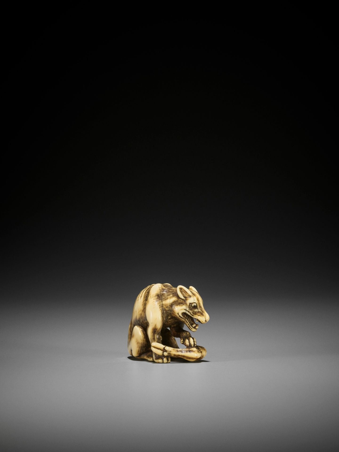 TOMOTADA: A FINE IVORY NETSUKE OF A WOLF WITH HAUNCH OF VENISON - Image 11 of 18