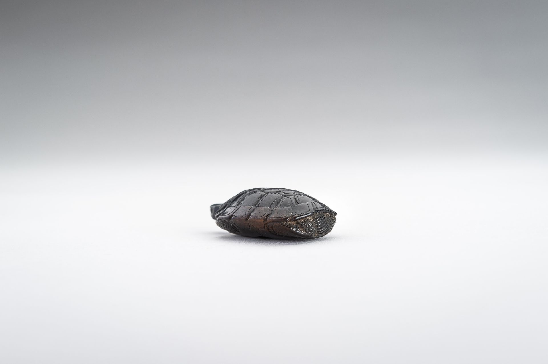 A WOOD NETSUKE OF A TORTOISE - Image 9 of 12