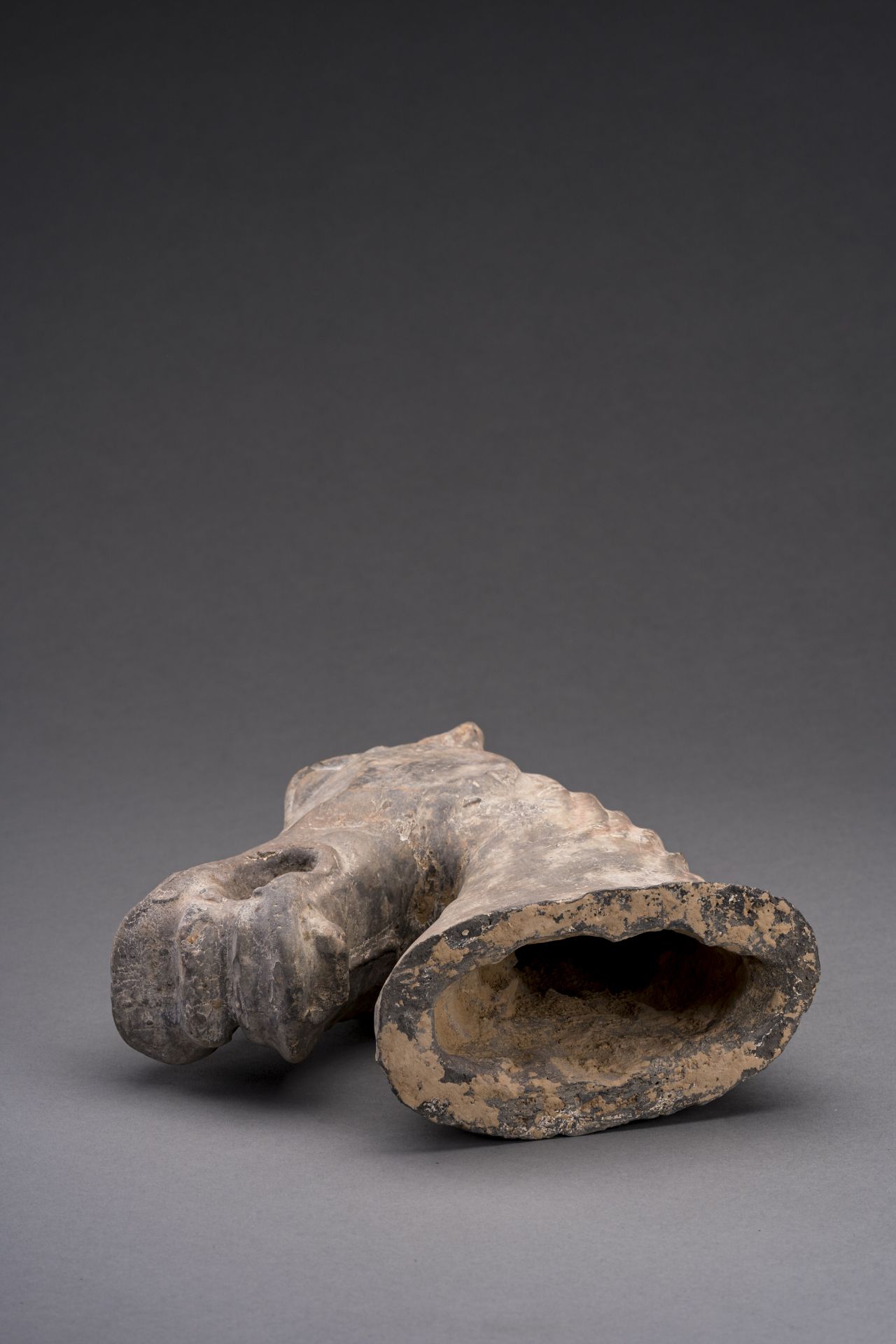 A POTTERY HORSE HEAD, HAN DYNASTY - Image 6 of 6