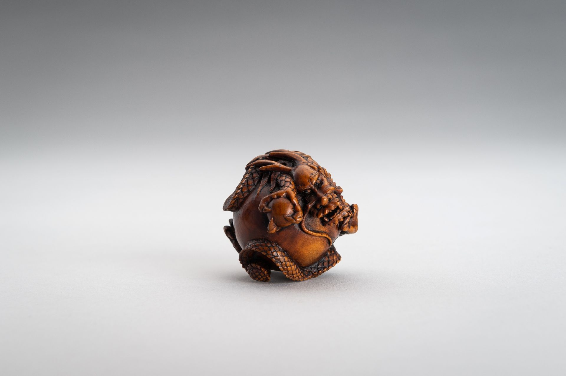 TOMOMASA: A BOXWOOD NETSUKE OF A COILED DRAGON - Image 7 of 15