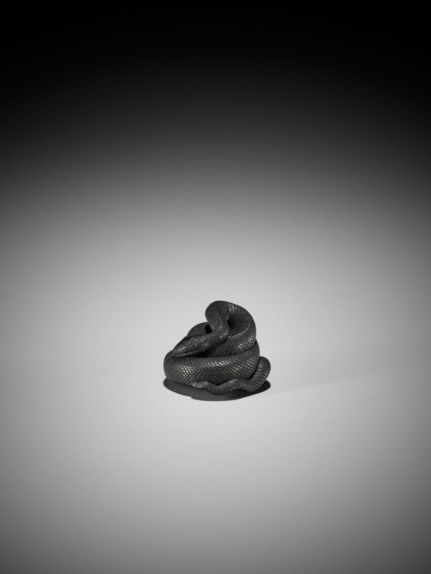 VADYM PYVOVAR: AN EBONY NETSUKE OF A COILED SNAKE AFTER MATSUDA SUKENAGA - Bild 6 aus 12