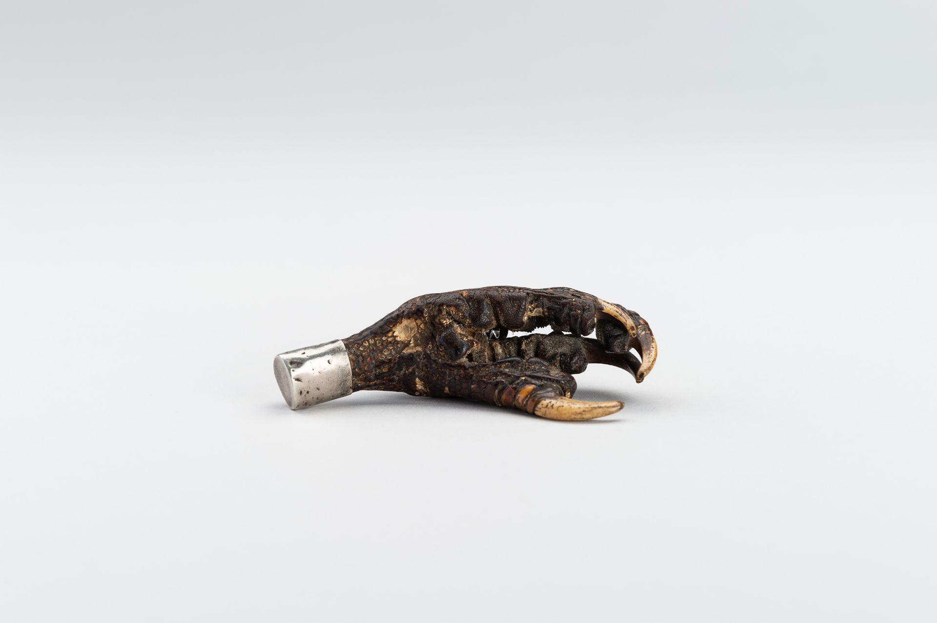 A LARGE NATURAL INU-WASHI EAGLE CLAW NETSUKE - Image 5 of 11