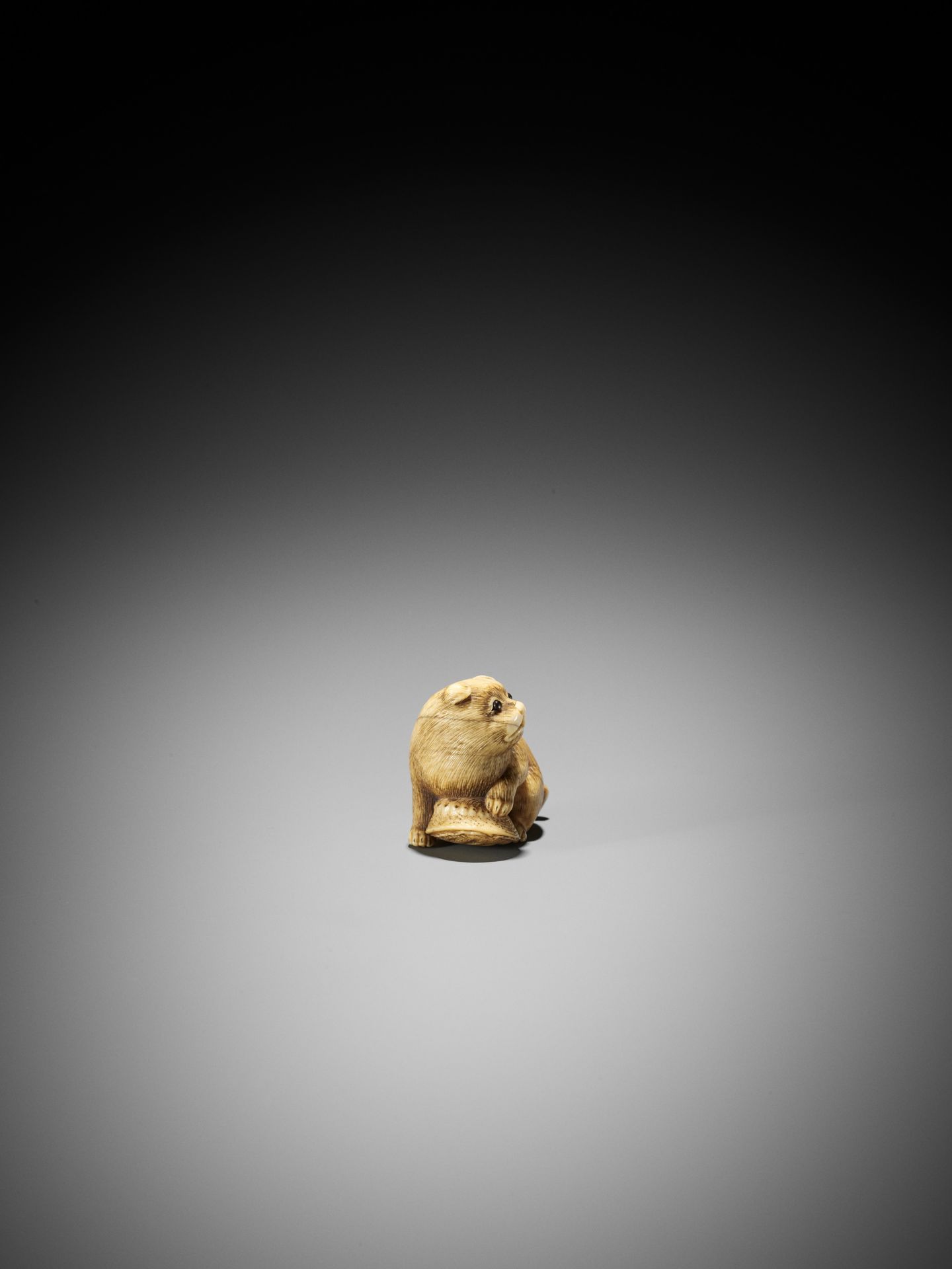 A GOOD KYOTO SCHOOL IVORY NETSUKE OF A PUPPY WITH AWABI - Bild 6 aus 9