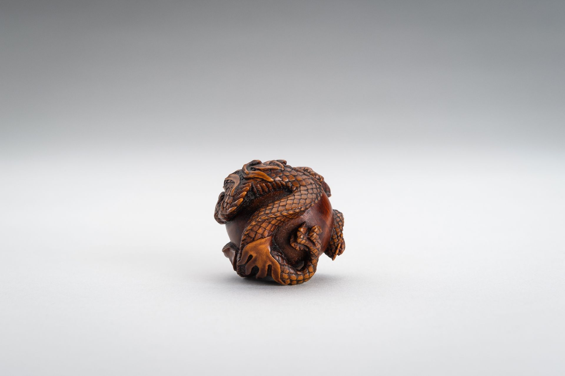 TOMOMASA: A BOXWOOD NETSUKE OF A COILED DRAGON - Image 4 of 15