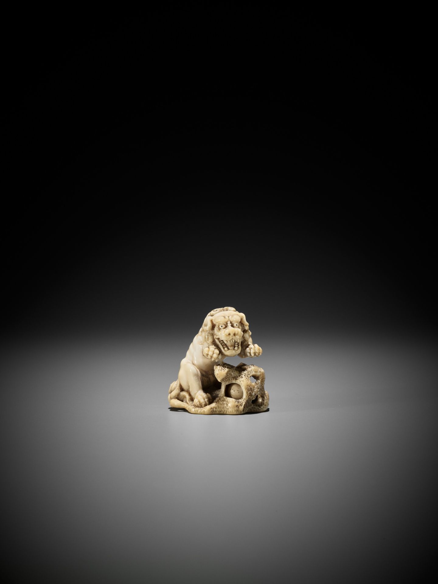 A SUPERB IVORY NETSUKE OF A ROARING SHISHI WITH ROCK AND LOOSE BALL - Image 5 of 14