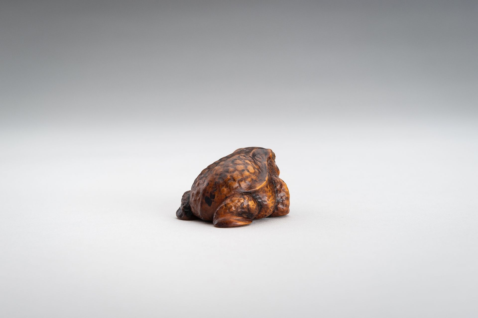 A BOXWOOD NETSUKE OF A FROG - Image 9 of 12