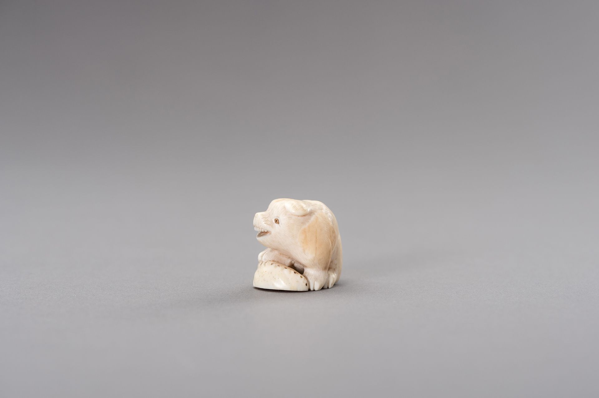 RANICHI: AN IVORY NETSUKE OF A PUPPY WITH AWABI - Image 4 of 11