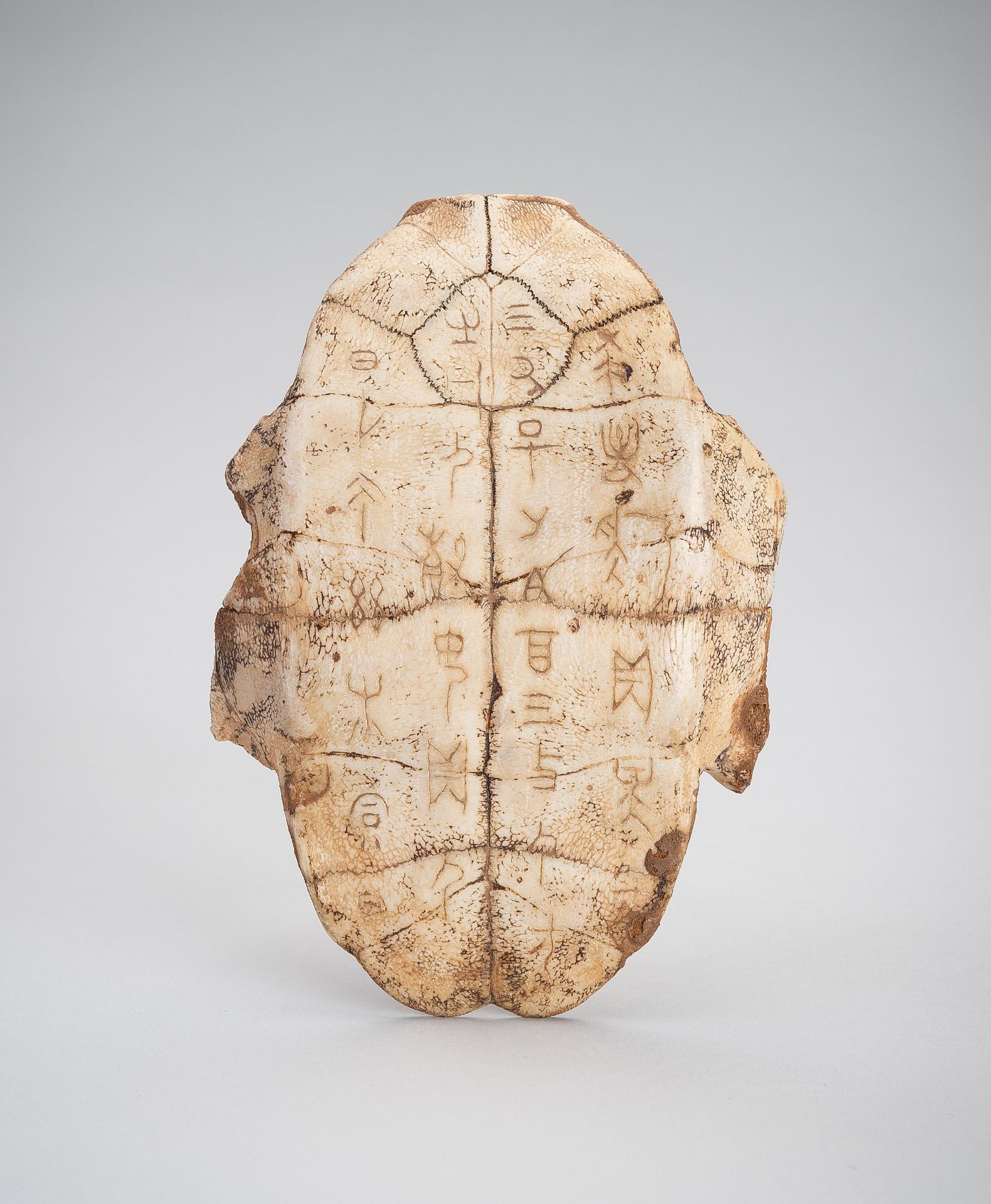 AN INSCRIBED SHANG DYNASTY 'ORACLE BONE' TURTLE PLASTRON, JIAGUWEN