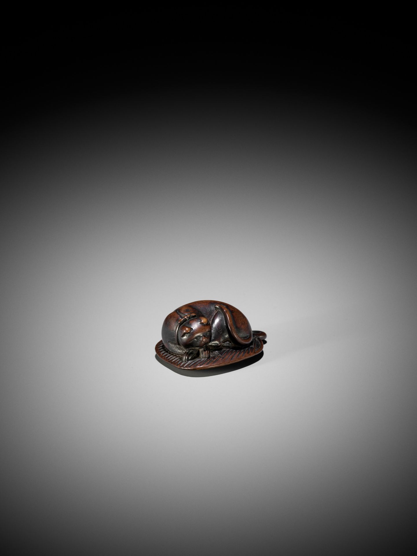 A WOOD NETSUKE OF A SLEEPING CAT ON A LEAF FAN - Image 5 of 7