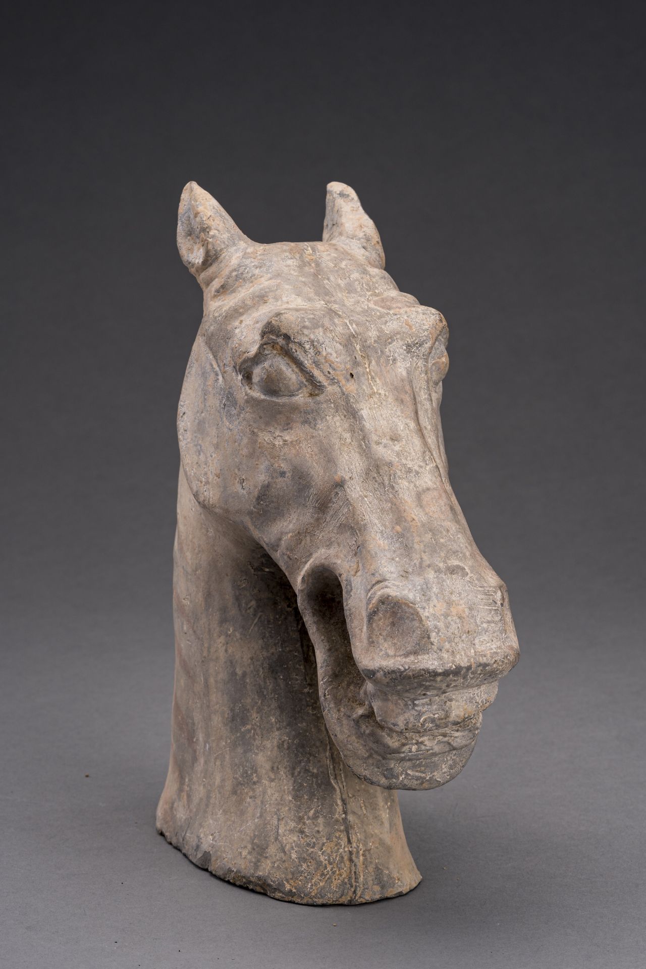 A POTTERY HORSE HEAD, HAN DYNASTY