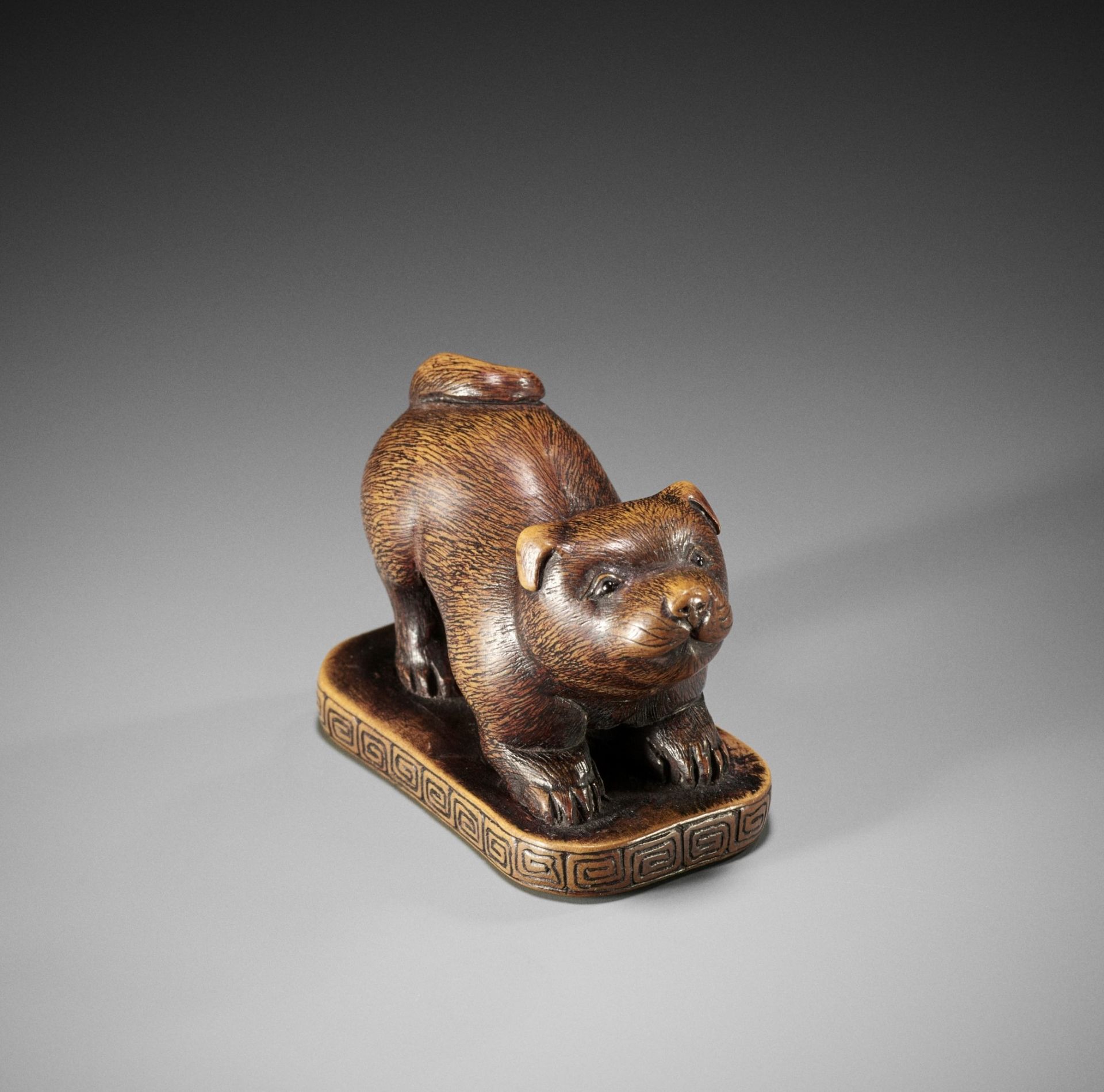 TOSEI: A CHARMING WOOD NETSUKE OF A PUPPY