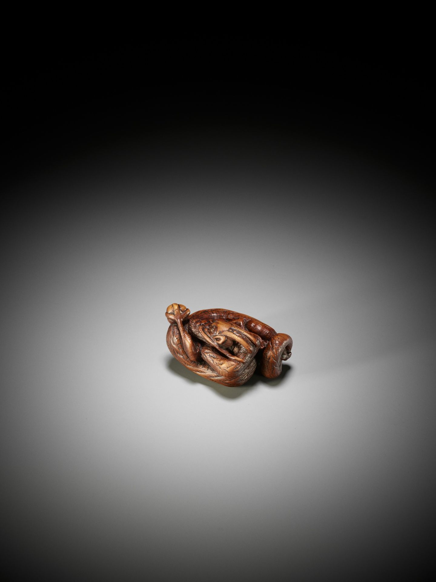 A SUPERB WOOD NETSUKE OF A COILED DRAGON - Image 9 of 14