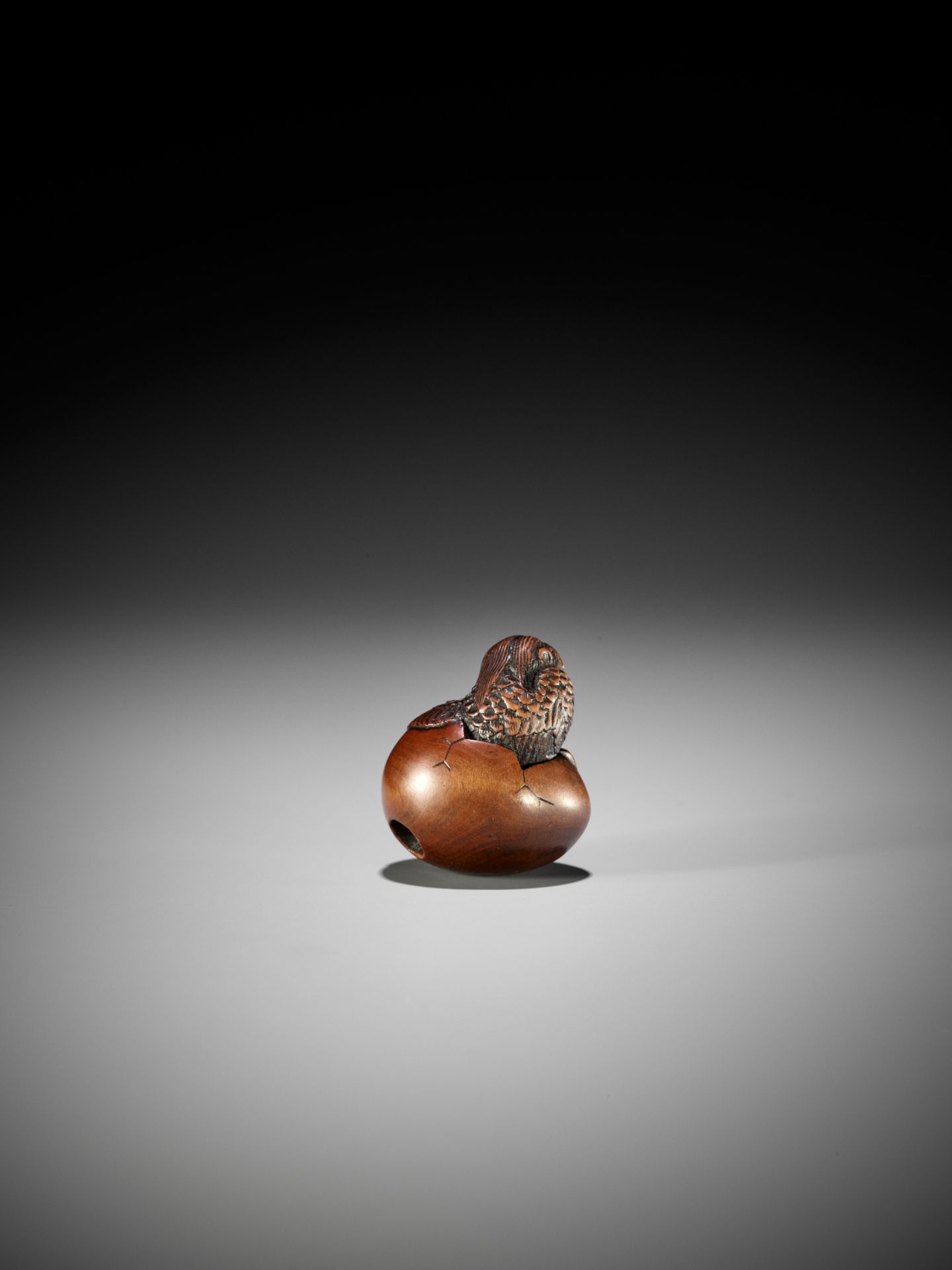 NAITO TOYOMASA: A FINE WOOD NETSUKE OF A HATCHING TENGU (TENGU NO TOMAGO) - Image 11 of 17