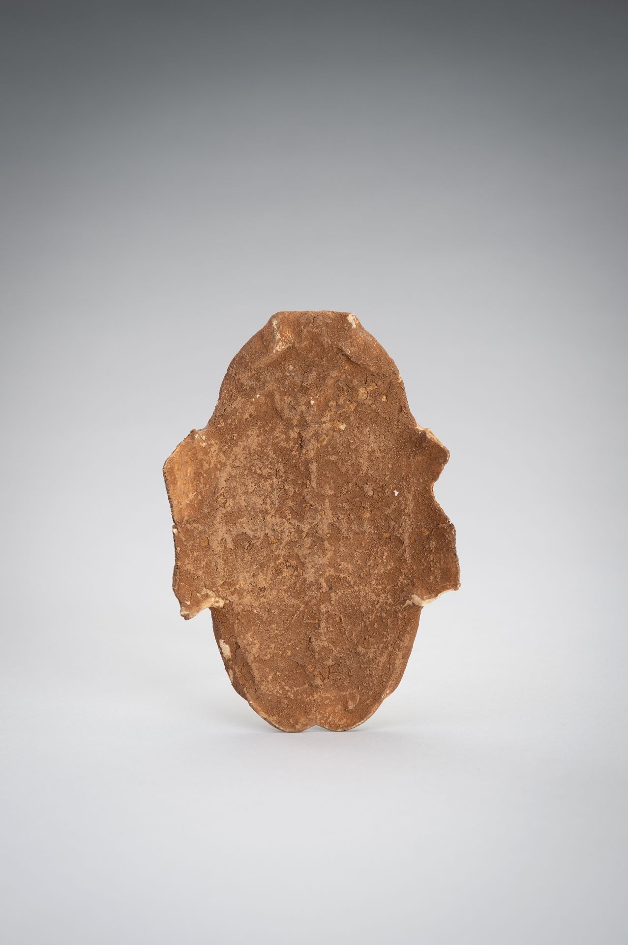 AN INSCRIBED SHANG DYNASTY 'ORACLE BONE' TURTLE PLASTRON, JIAGUWEN - Bild 9 aus 9