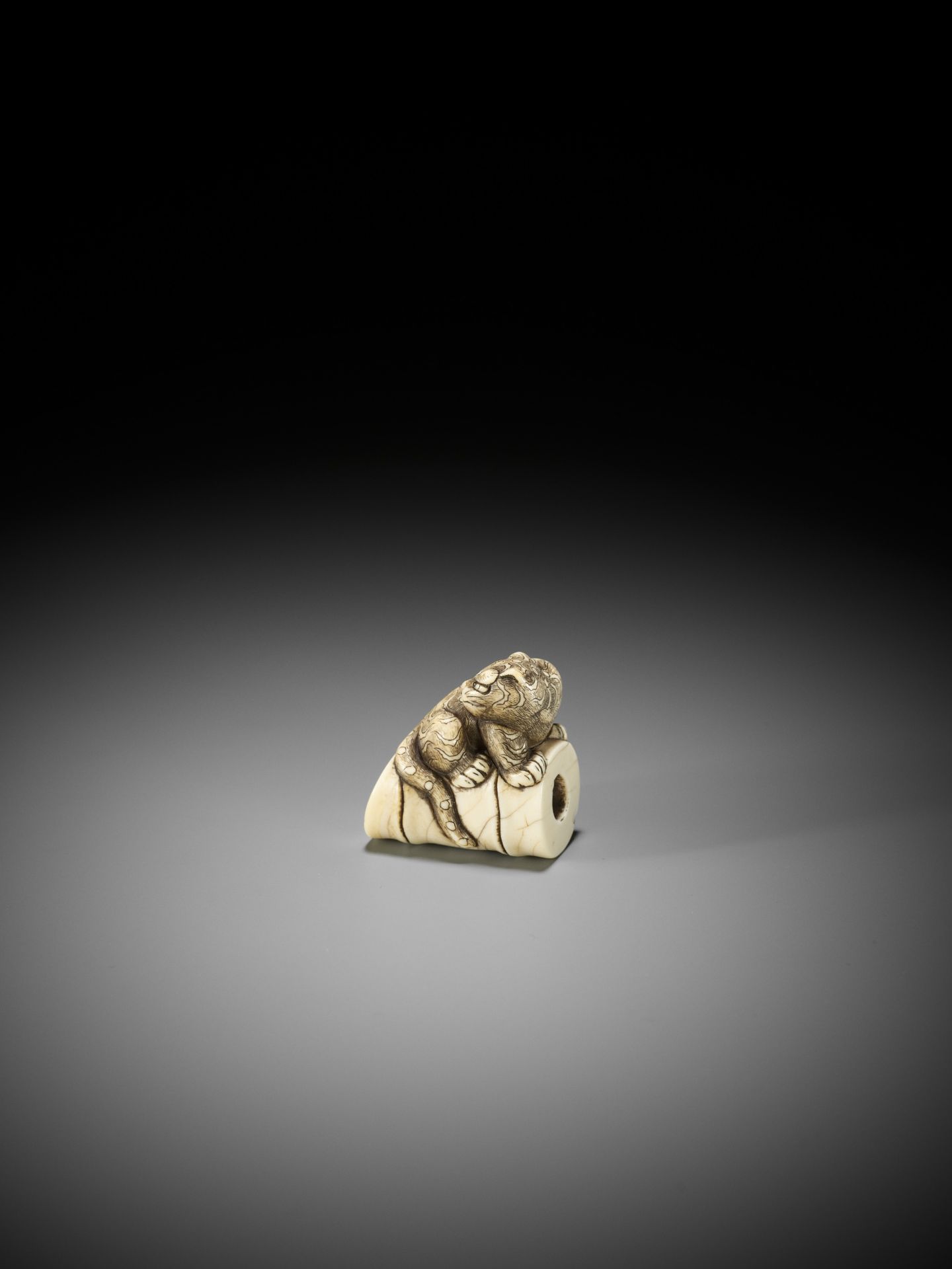 A FINE OSAKA SCHOOL IVORY NETSUKE OF A TIGER ON BAMBOO - Image 6 of 13