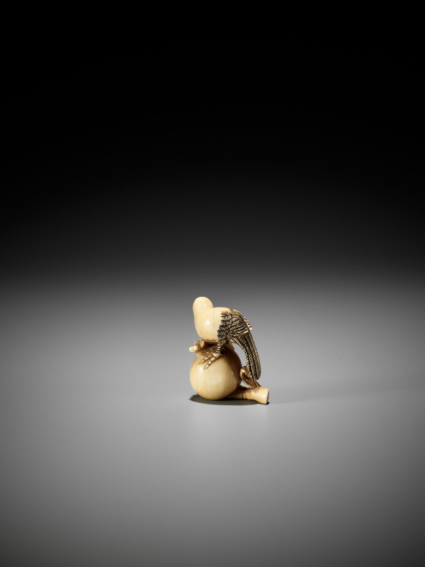 AN IVORY NETSUKE OF A PIGEON PERCHED ON A POMEGRANATE, ATTRIBUTED TO ANRAKU - Image 6 of 9