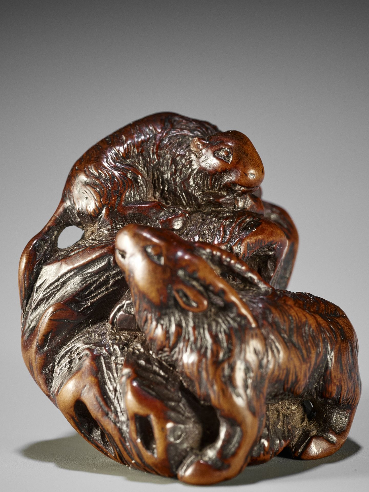 KOKEI: A RARE WOOD NETSUKE OF A GOAT AND YOUNG ON A ROCK - Image 2 of 14