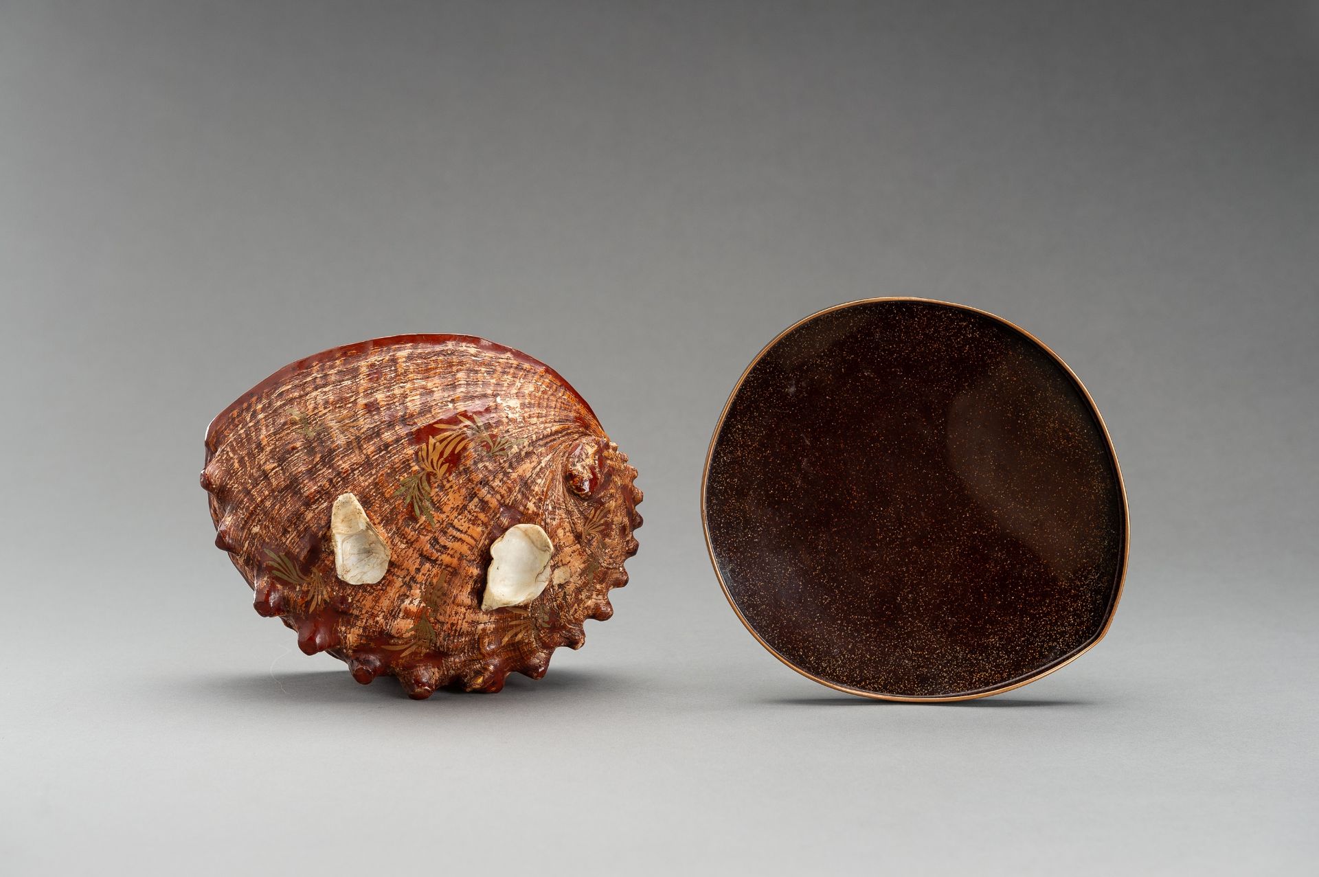 A UNIQUE AWABI SHELL WITH LACQUERED COVER - Image 13 of 14